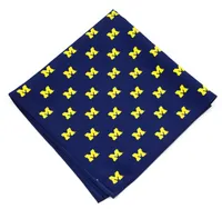 Eagles Wings Michigan Wolverines Kerchief/Pocket Square