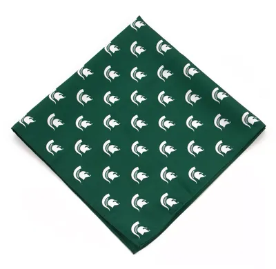 Eagles Wings Michigan State Spartans Kerchief/Pocket Square