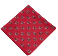 Eagles Wings South Carolina Gamecocks Kerchief/Pocket Square