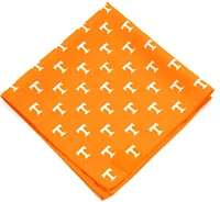 Eagles Wings Tennessee Volunteers Kerchief/Pocket Square