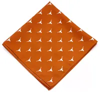 Eagles Wings Texas Longhorns Kerchief/Pocket Square