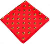 Eagles Wings Chicago Blackhawks Kerchief/Pocket Square