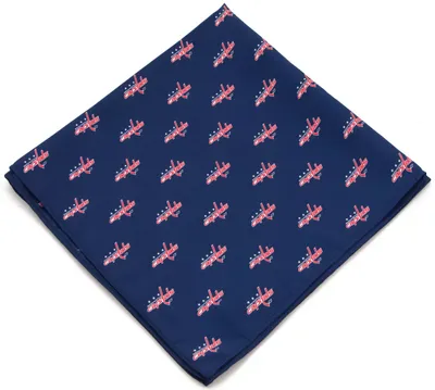 Eagles Wings Washington Capitals Kerchief/Pocket Square