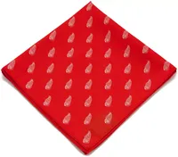 Eagles Wings Detroit Red Wings Kerchief/Pocket Square