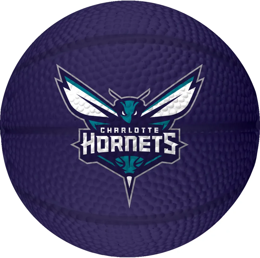 Franklin Charlotte Hornets Stressball