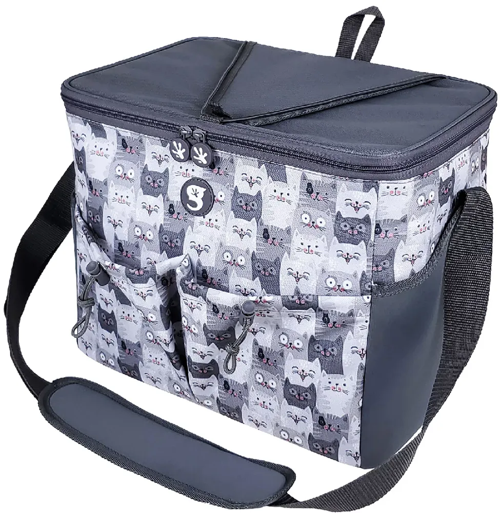 geckobrands Large Cooler