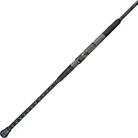 Dark Matter John Skinner Surf Spinning Rod