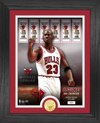 Highland Mint Chicago Bulls Michael Jordan 6x Champions Banner & Bronze Coin Photo Frame