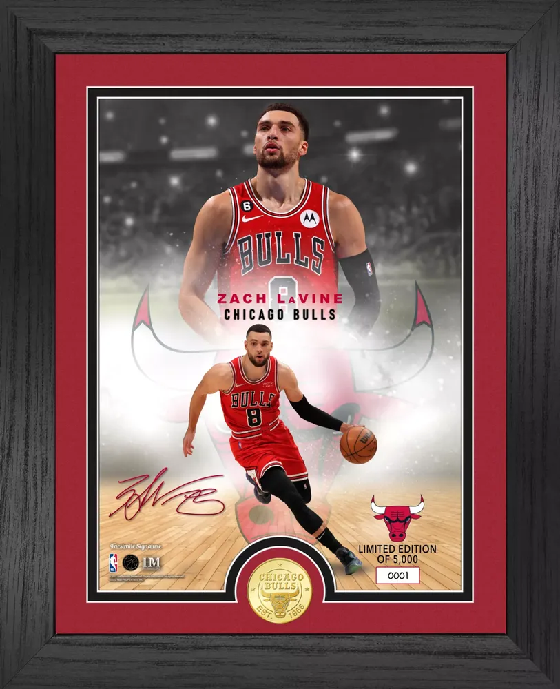 Highland Mint Chicago Bulls Zach LaVine Legends Bronze Coin Photo Frame