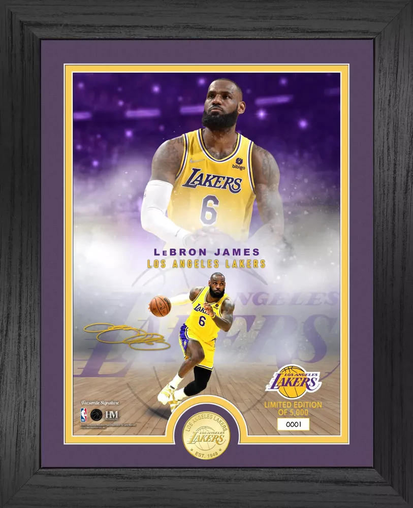 Highland Mint Los Angeles Lakers LeBron James Legends Bronze Coin Photo Frame