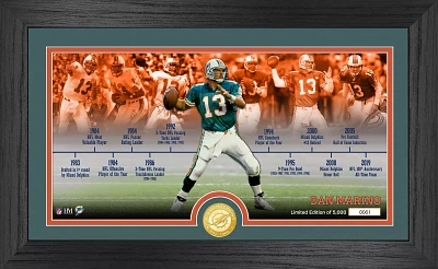 Highland Mint Miami Dolphins Dan Marino Career Timeline Bronze Coin Photo Pano Mint