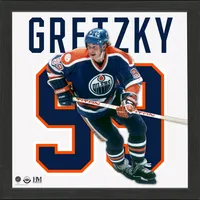 Highland Mint Edmonton Oilers Wayne Gretzky Impact Jersey Photo Frame