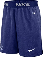 Nike Men's Los Angeles Dodgers Dodger Blue Authentic Collection Knit Shorts