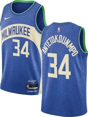 Nike Men's 2023-24 City Edition Milwaukee Bucks Giannis Antetokounmpo #34 Blue Swingman Jersey