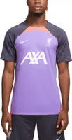 Nike Liverpool FC 2023 Third Strike Purple Replica Jersey