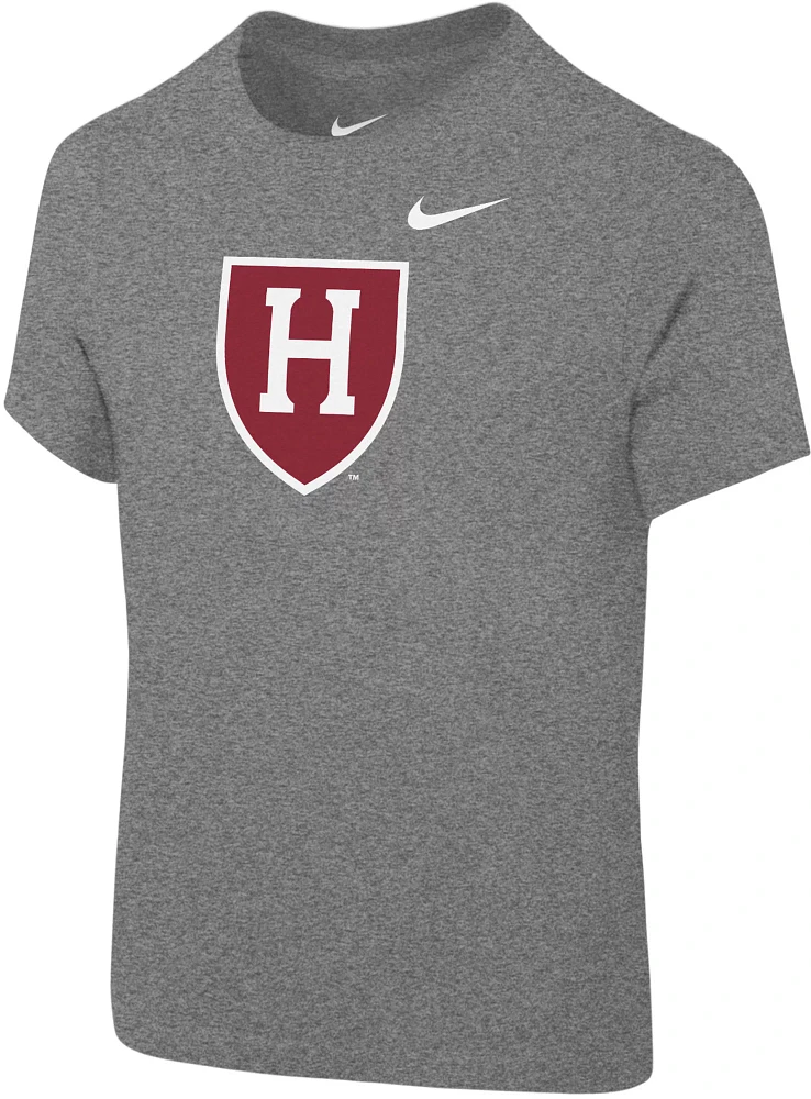 Nike Toddler Harvard Crimson Grey Core Cotton T-Shirt