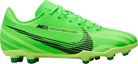 Nike Mercurial Vapor 15 Club MDS FG Soccer Cleats