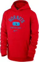 Nike Youth Delaware State Hornets Red Club Fleece Mascot Name Pullover Hoodie