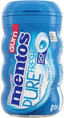 Mentos Chewing Gum - 50pc Bottle