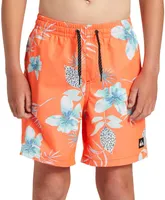 Quiksilver Youth Everyday Mix Volley Shorts