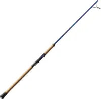 St Croix Legend Tournament Inshore Spinning Rod