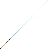 St. Croix Avid Series Inshore Casting Rod (2024)