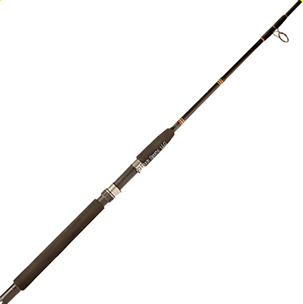 Dick's Sporting Goods Star Rods Ariel Boat Spinning Rod