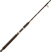 Star Rods Ariel Boat Spinning Rod