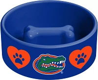 The Memory Company Florida Gators Pet Bowl