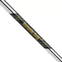 True Temper Dynamic Gold 100 Mid Steel Iron Shaft (.355")