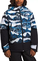 The North Face Boy's Freedom Insulated Jacket