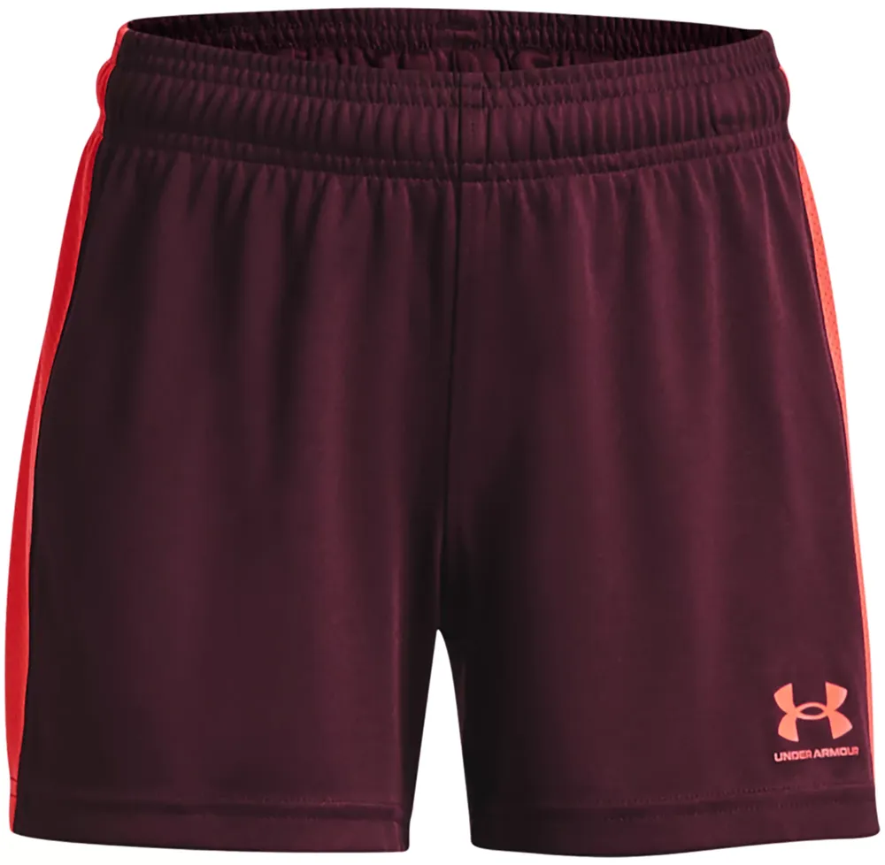 Dick's Sporting Goods Under Armour Girls' Challenger Knit Shorts