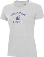 Under Armour Women's College of Idaho Yotes Silver Heather Pennant T-Shirt