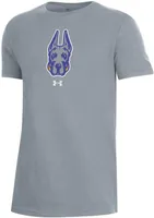 Under Armour Youth Albany Great Danes Grey Performance Cotton T-Shirt