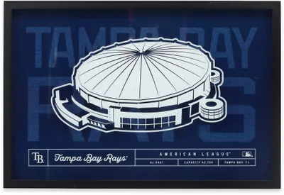 Open Road Brands Tampa Bay Rays Stadium Glass Framed Sign