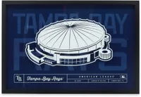 Open Road Brands Tampa Bay Rays Stadium Glass Framed Sign