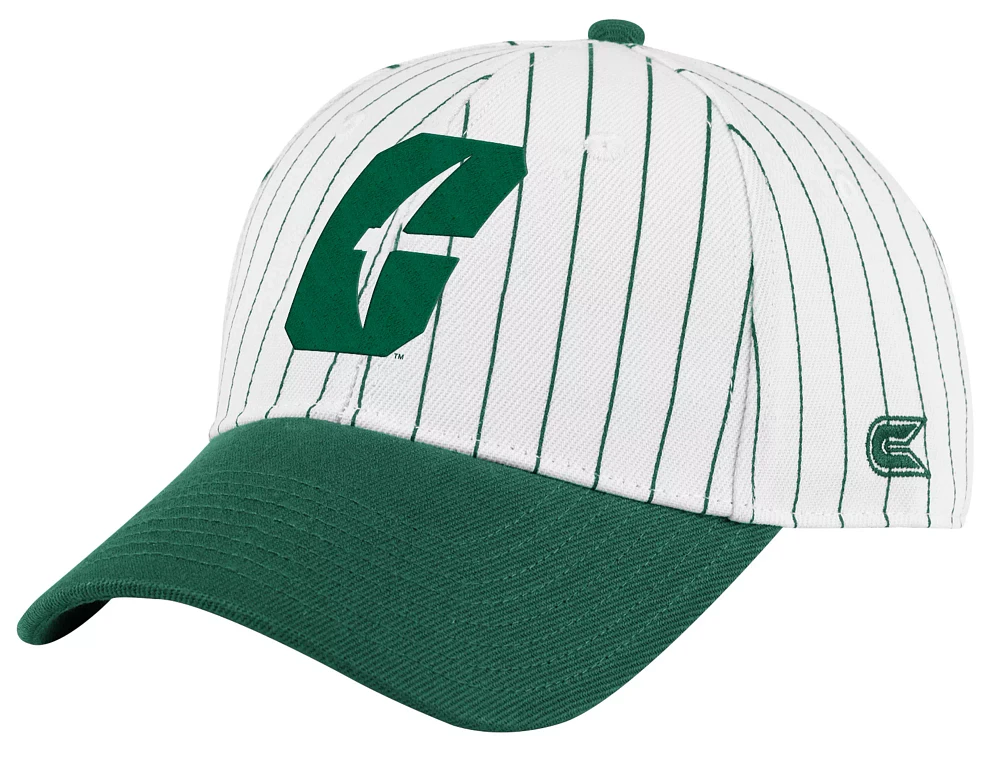 Colosseum Men's Charlotte 49ers Green Pin Stripe Adjustable Baseball Hat