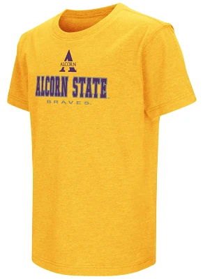 Colosseum Youth Alcorn State Braves Gold T-Shirt