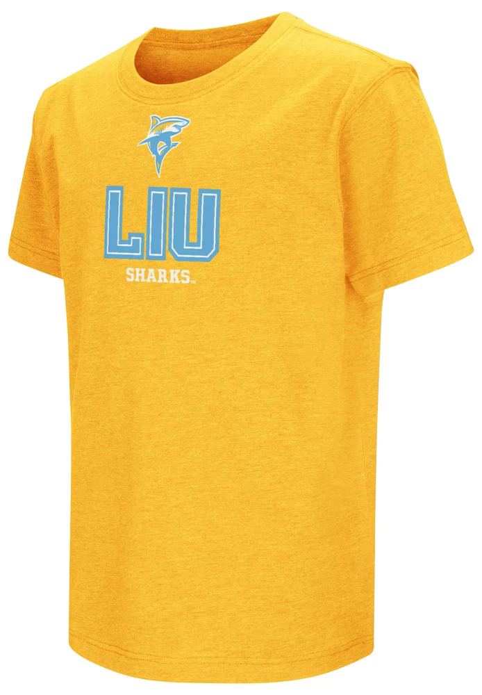 Colosseum Youth LIU Brooklyn Blackbirds Gold T-Shirt