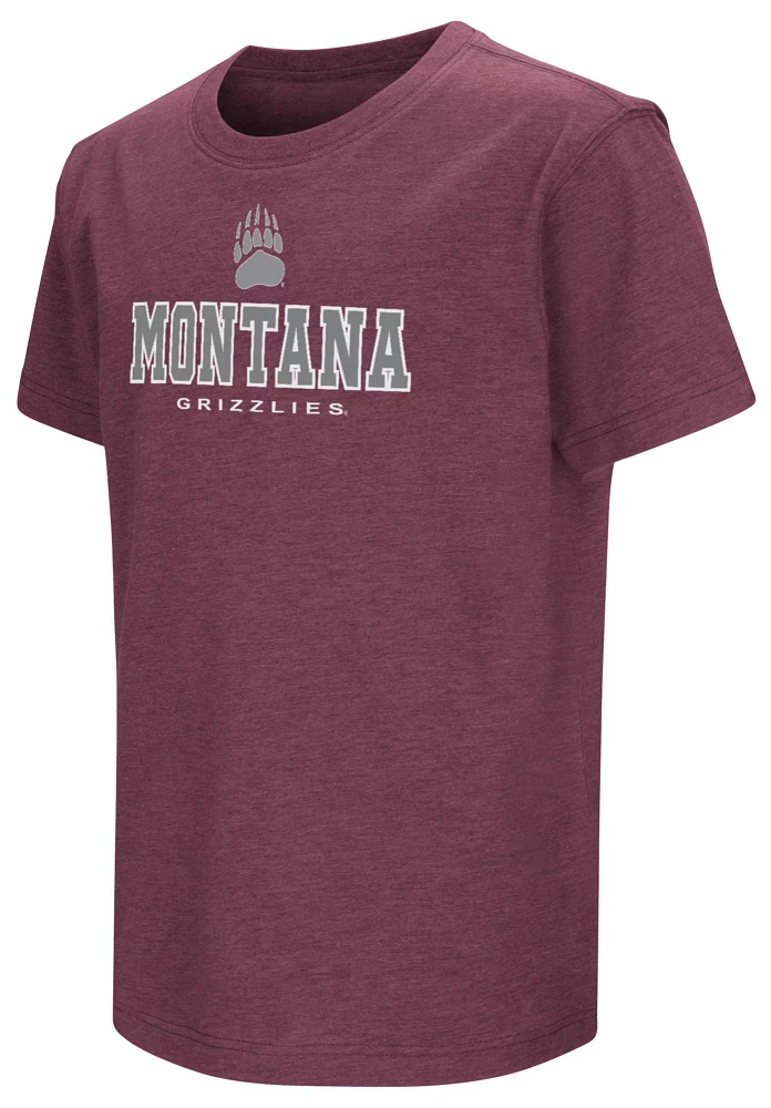 Colosseum Youth Montana Grizzlies Maroon T-Shirt