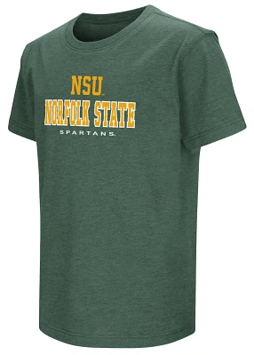 Colosseum Youth Norfolk State Spartans Green T-Shirt