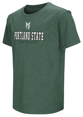 Colosseum Youth Portland State Vikings Green T-Shirt