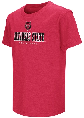 Colosseum Youth Arkansas State Red Wolves T-Shirt