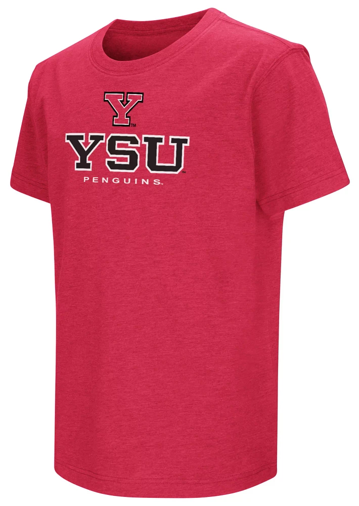 Colosseum Youth Youngstown State Penguins Red T-Shirt