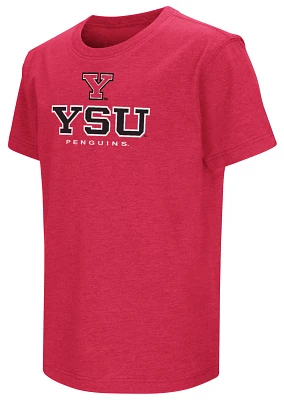 Colosseum Youth Youngstown State Penguins Red T-Shirt