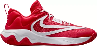 Nike Giannis Immortality 3 Basketball Shoes