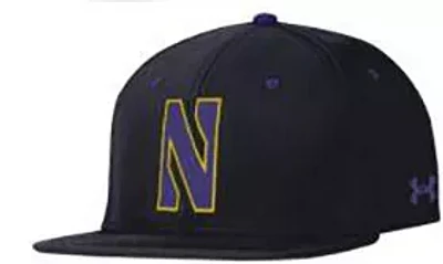 Under Armour Men's Northwestern Wildcats Black Fitted Baseball Hat