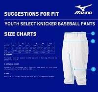 Mizuno Boys' Select Knicker Baseball Pants