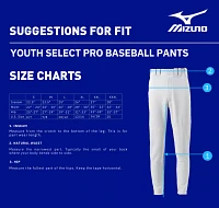 Mizuno Boys' Select Pro Baseball Pants