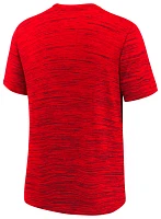 Nike Youth St. Louis Cardinals Red Logo Velocity T-Shirt